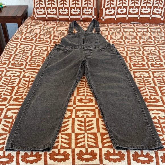 We The Free Ziggy Denim Overalls - Picture 4 of 6